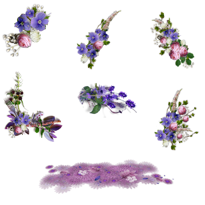 ✿*ﾟVarious flowers