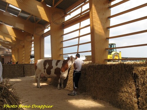 La fête de l'agriculture, vue par René Drappier...