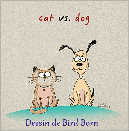 Chat ou chien avec le dessinateur Bird Born