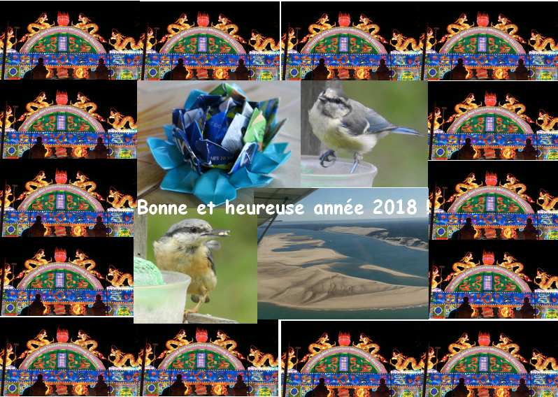 Bonne et heureuse année 2018 à vous tous !