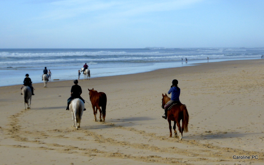*Promenade à cheval sur la plage*