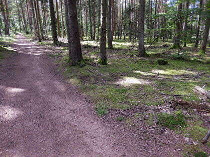 Les crêtes des Vosges 3 de Chatenois à Thann