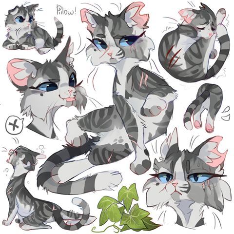 graypillow (@graypillowart) • Фото и видео в Instagram | Warrior cat  drawings, Warrior cats art, Warrior cats