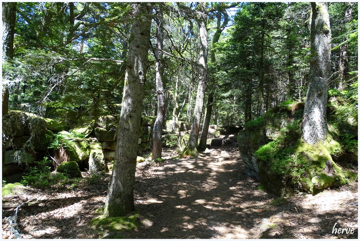 Randonnée: Le Mont Saint-Odile 2/3