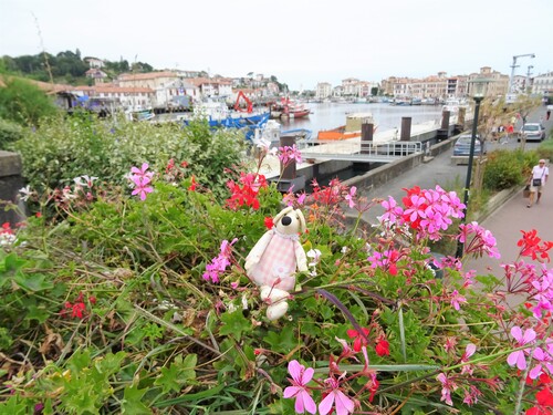 Résumé de notre voyaze au Pays Basque.