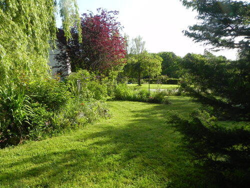 Mon jardin dans l'ensemble 