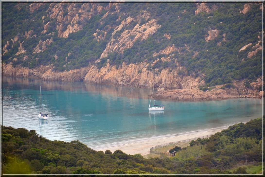 Lion de Rocapina - Corse