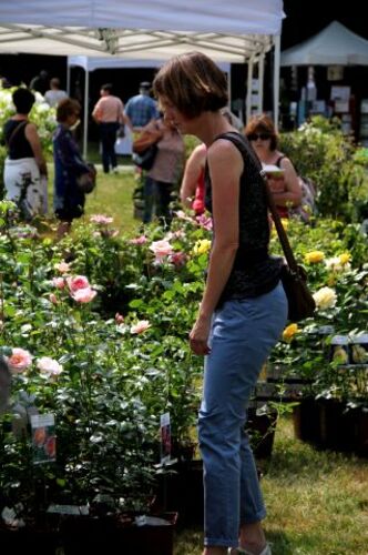 Les journées de la Rose à Chaalis : Day 1