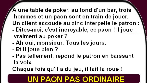 On se marre le dimanche chez les "Tiot".