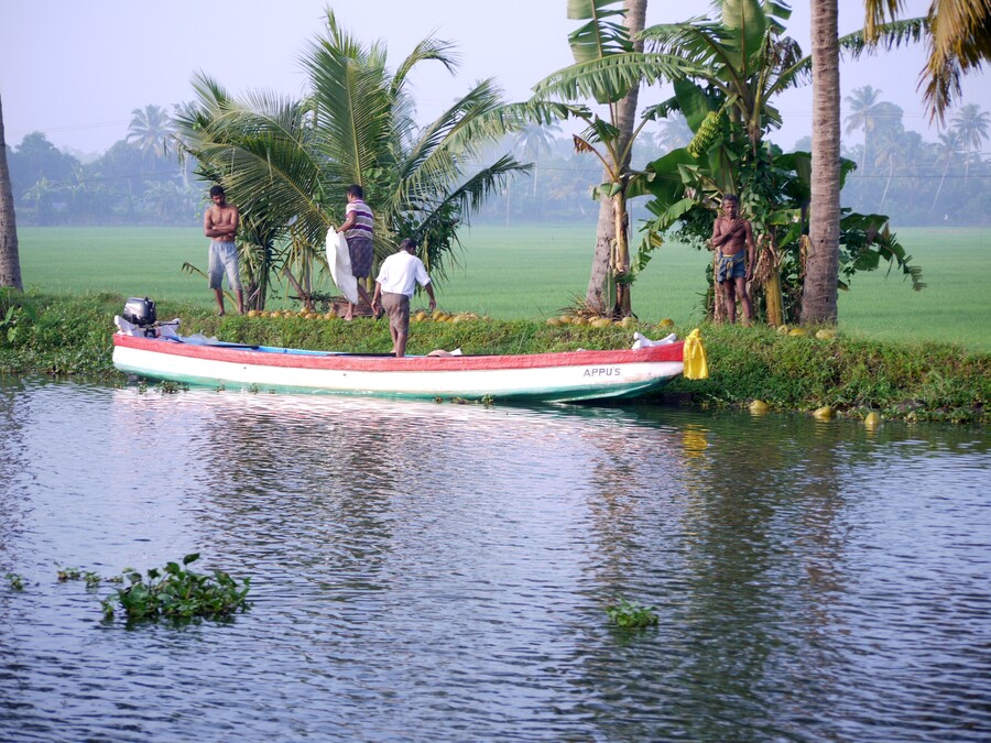 Croisière sur les Backwaters du Kerala -Inde du sud (2)