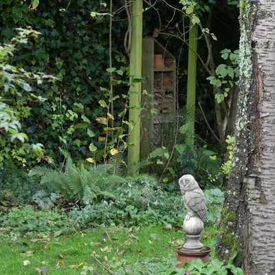 au fond du jardin