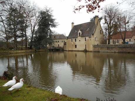 Randonnée de Saint-Michel en Brenne