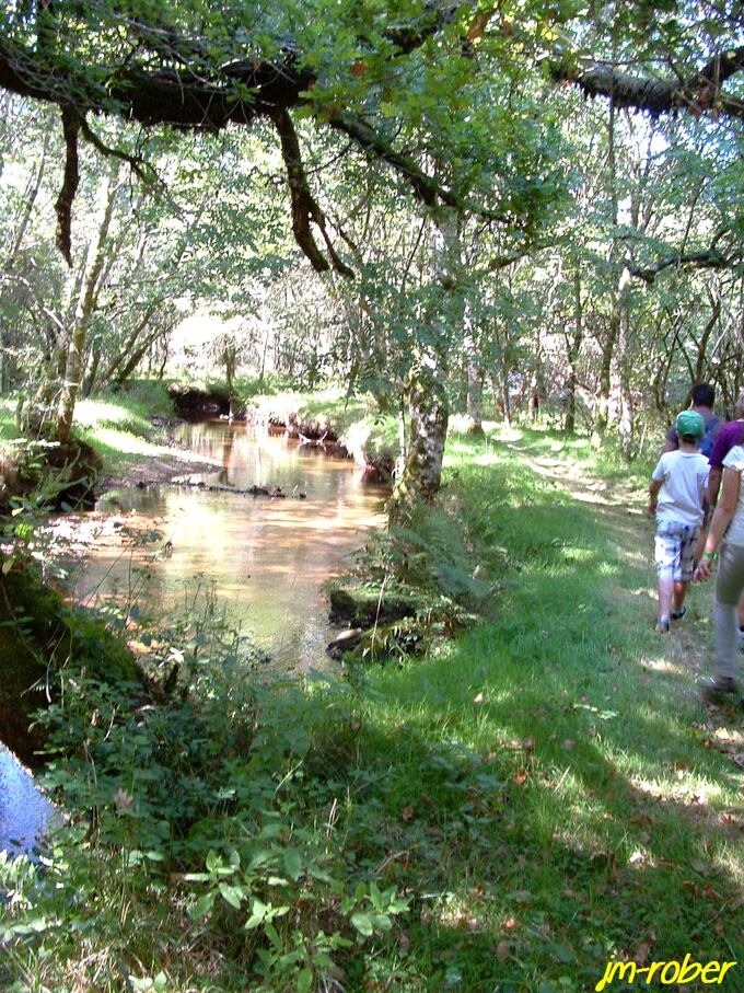 Haute-Vienne : la 11ème du nom « Randonnez-vous » un record battu 3500 participants au rendez-vous sous le soleil