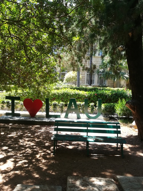 Beyrouth :Hamra ,Rauche et musée national 