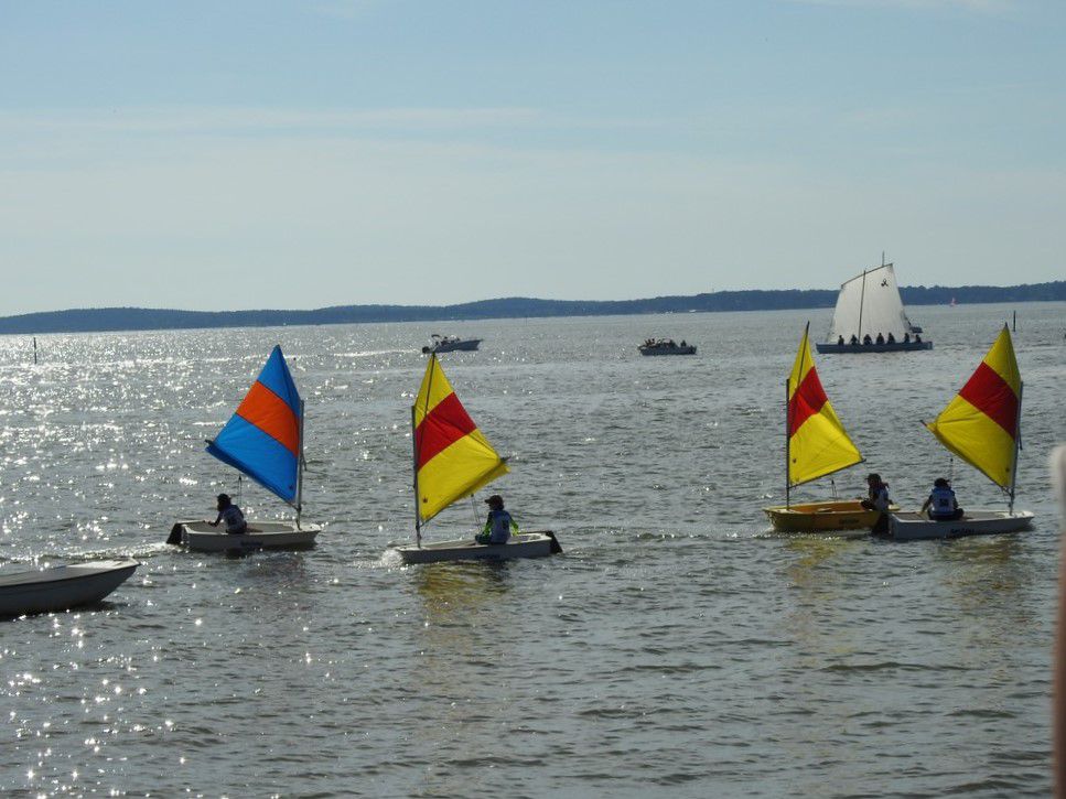 Voiles en liberté 2024 à Andernos - Régate d'Optimists...