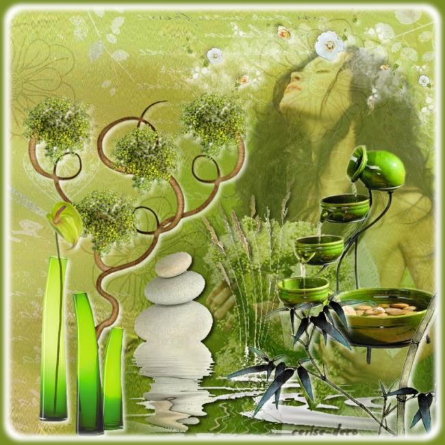 Afficher l'image d'origine