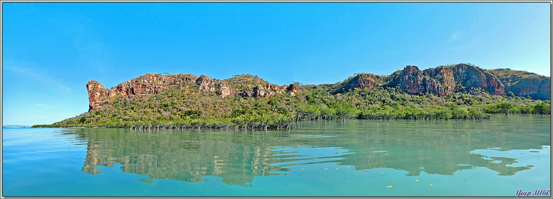 20/09/2022 : premier débarquement pour voir la mangrove de la Rivière Hunter - Prince Frederick Harbour - Kimberley - Australie