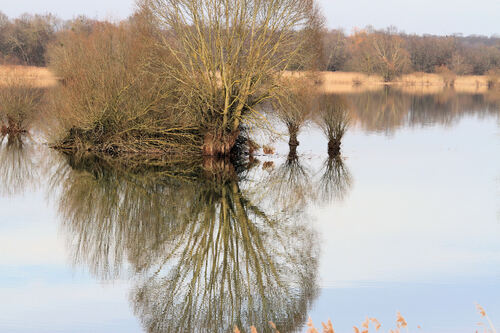 Miroirs