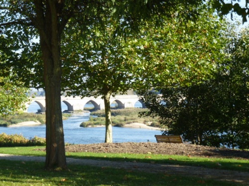 COULEURS D'AUTOMNE A BEAUGENCY