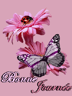 Une page cadeaux merci à vous tous