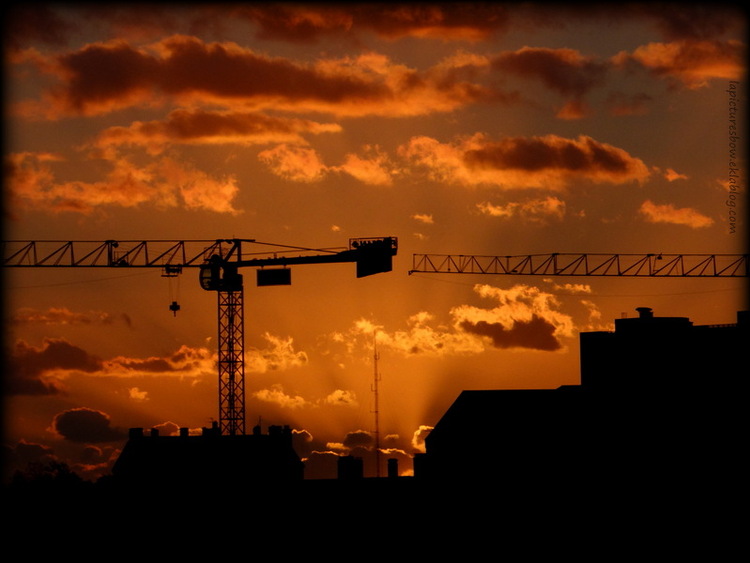 Grue dans soleil couchant, nuages