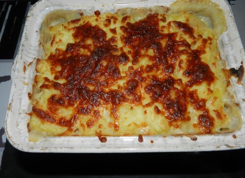 Gratin de purée au cabillaud et chicons (endives)