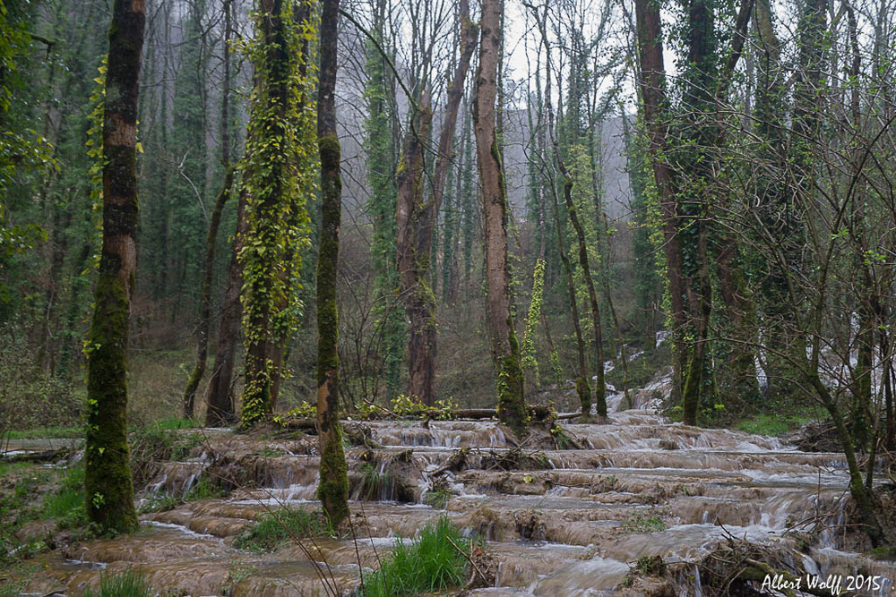 Sortie sous la pluie pour voir de l'eau...