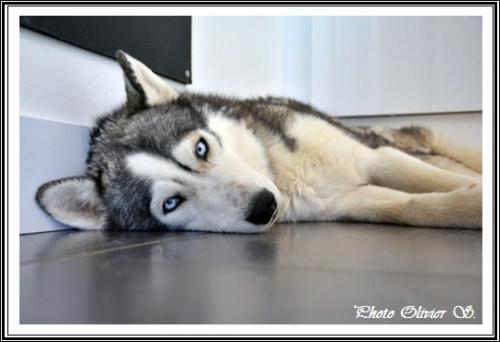 Garook (3 ans)