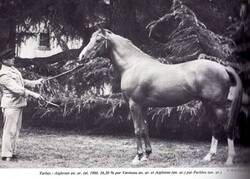 Le Haras National de Tarbes