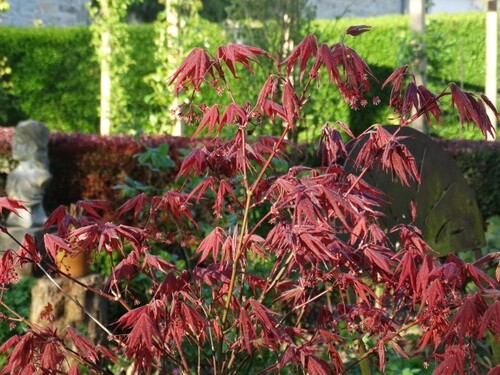 Un tour du jardin