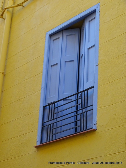 Collioure - Pyrénées Orientales - 