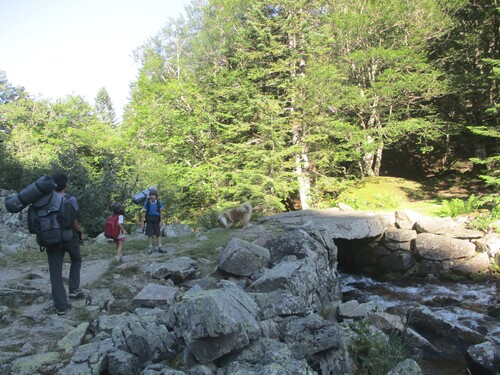 Bivouac (3 nuits) : des étangs et des fleurs depuis le vallon du Mourguillou (Merens) - 09