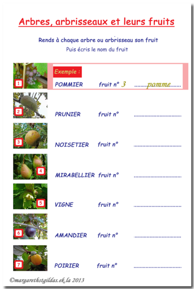 Arbres, arbrisseaux et leurs fruits