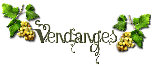 Vendanges