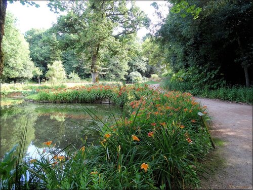 Paysages du parc floral de la Court d'Aron