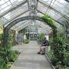 Salle méditérannéenne  - Botanic Garden des US - WDC