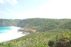 Balade " la trace des falaises" Anse Bertrand 