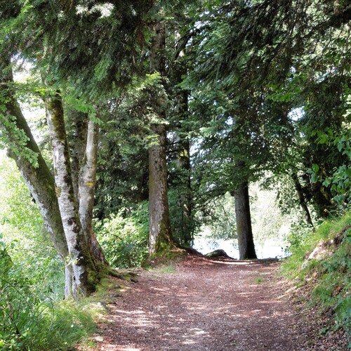 chemin du tour du lac