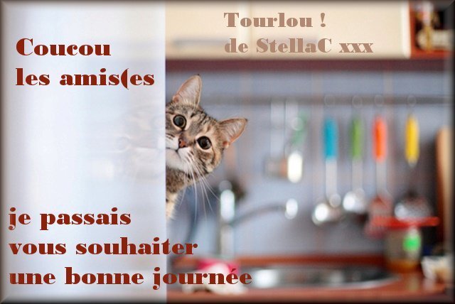 pr mon blog Tourlou-Minou