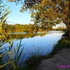 Lac de Passeligne