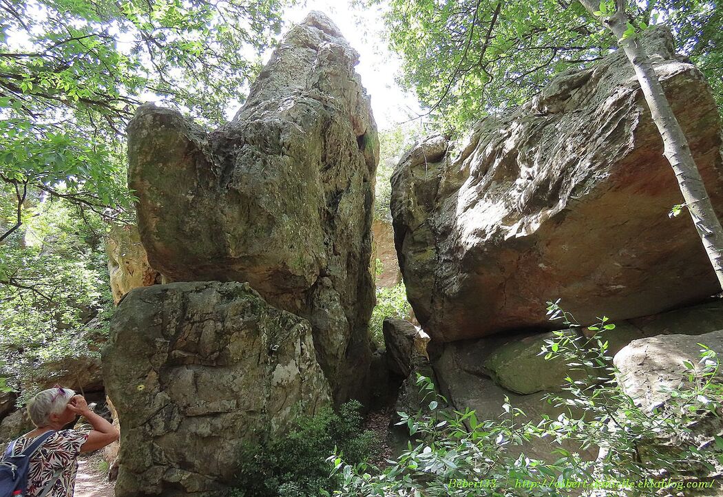 l'étang de la Capelle dans le Gard