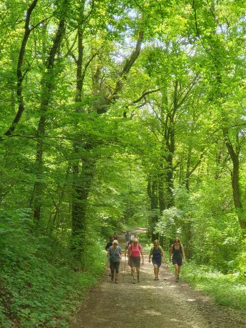 CR RANDO DES MARAIS LAY SAINT REMY 15/07/2024