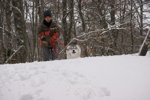 SORTIE DANS LE VERCORS (27/01/2013)