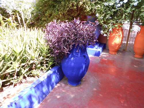 Le jardin Majorelle à Marrakech