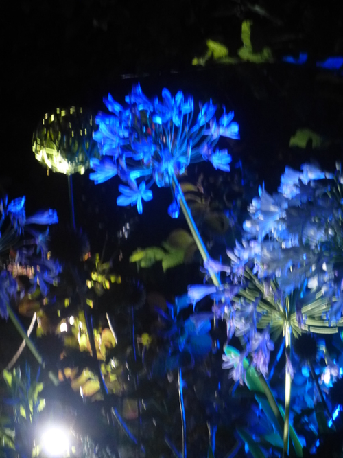 JARDINS DE CHAUMONT BY NIGHT .........