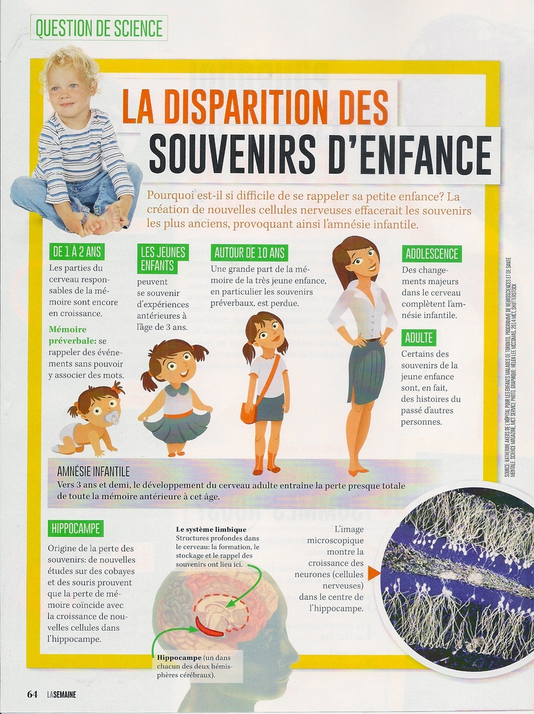 Sciences-Général:  La disparition des souvenirs d'enfance