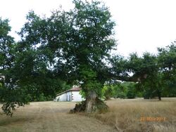 Les Landes et son Bearn proche