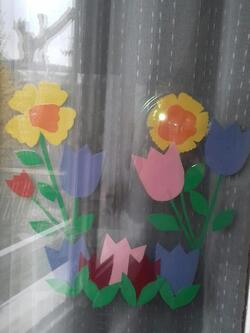 Les premières fleurs à nos fenêtres !