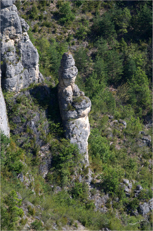 Gorges du Tarn