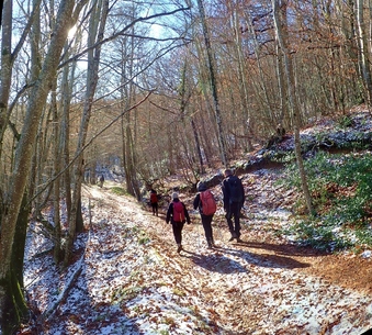 De Lavernhe au Puech du Pal